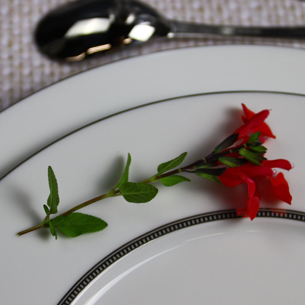 Degrenne plate with red  salvia and a spoon