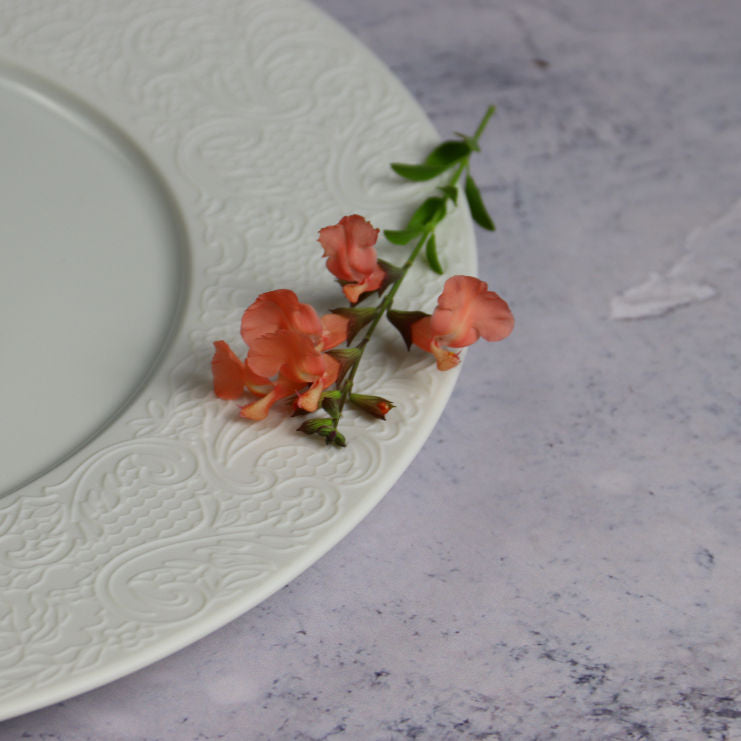 3 round presentation plates with wide rim - Degrenne