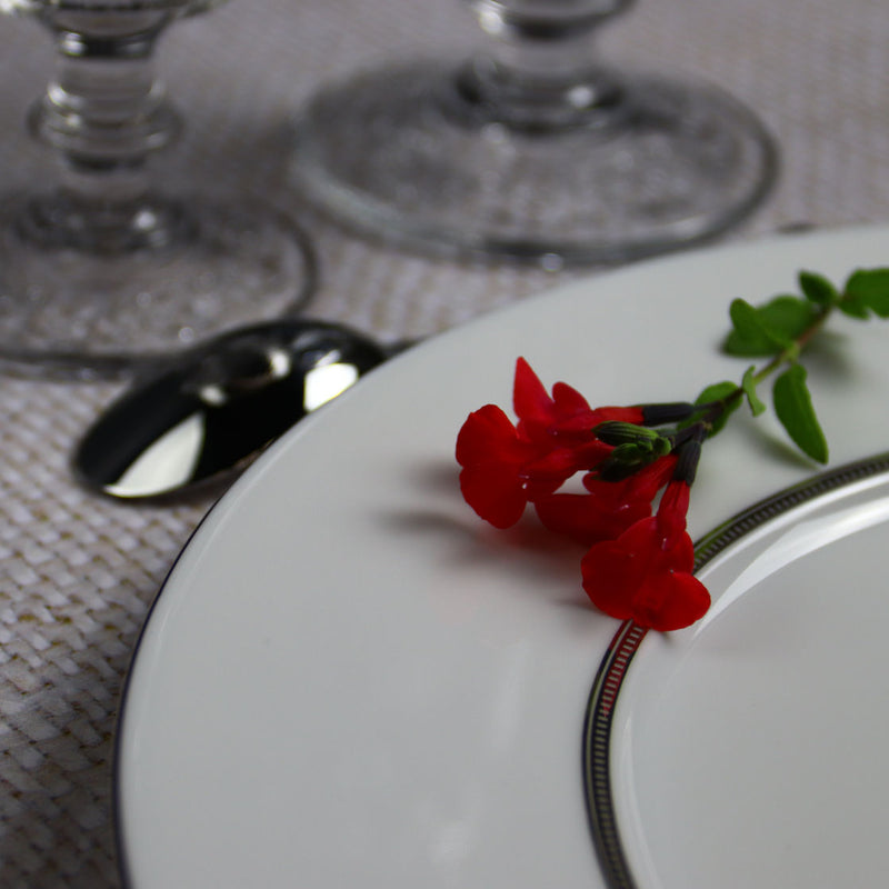 6 Round dinner plates 28 cm with rim