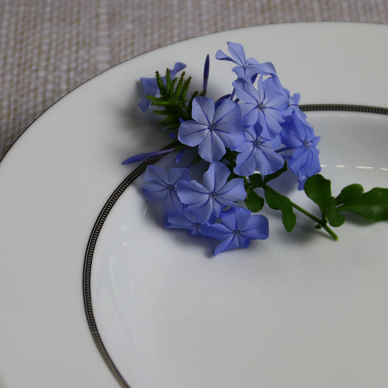 Degrenne Round deep dish Zoomed with Blue Flower